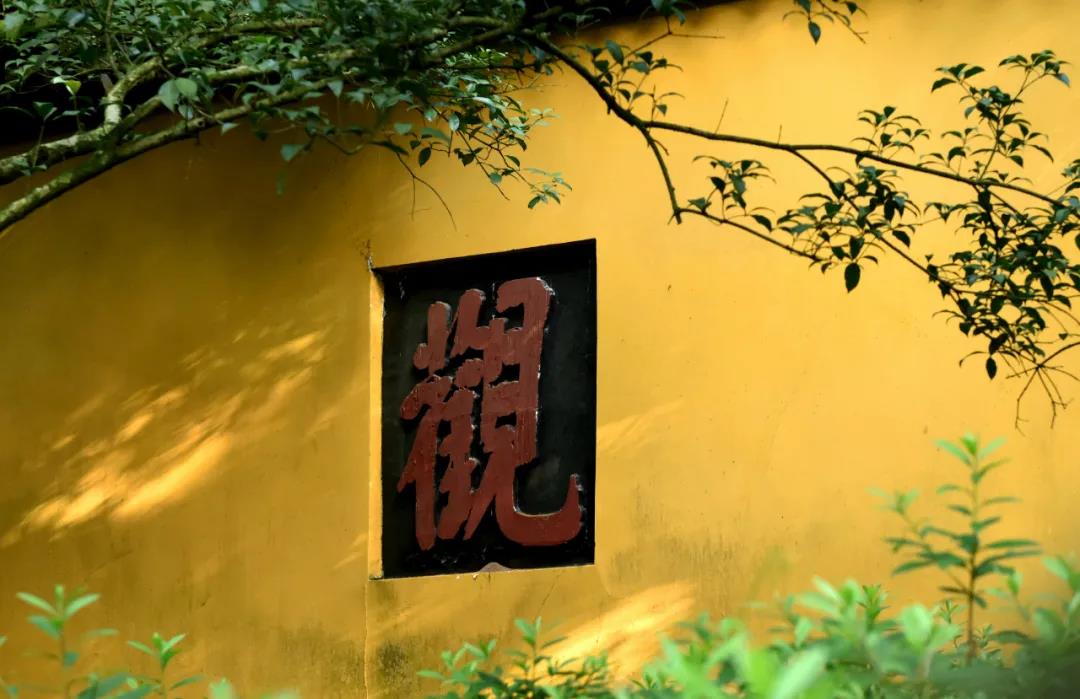 念佛当“深信”:信自心——披毛从此得,作佛也由它 念佛当“深信”:信自心——披毛从此得,作佛也由它