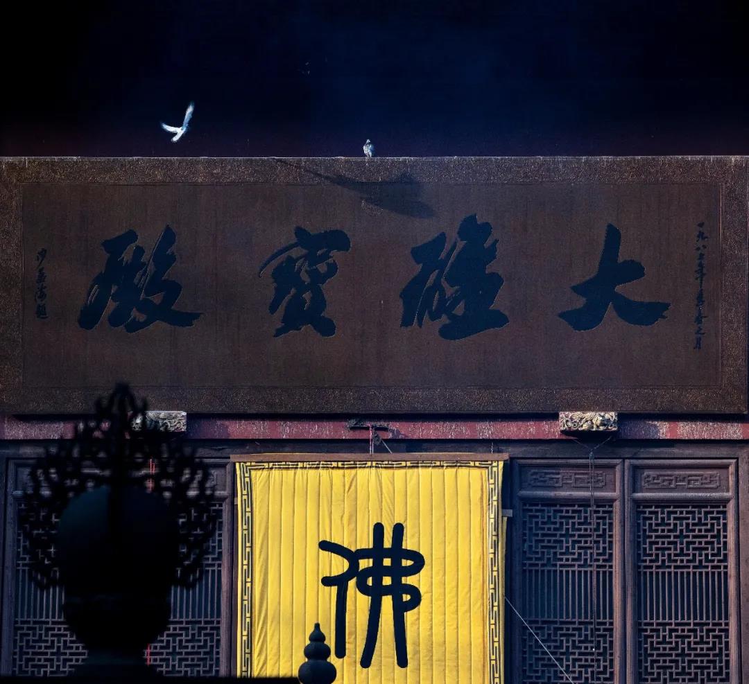 念佛当“深信”:信自心——披毛从此得,作佛也由它 念佛当“深信”:信自心——披毛从此得,作佛也由它