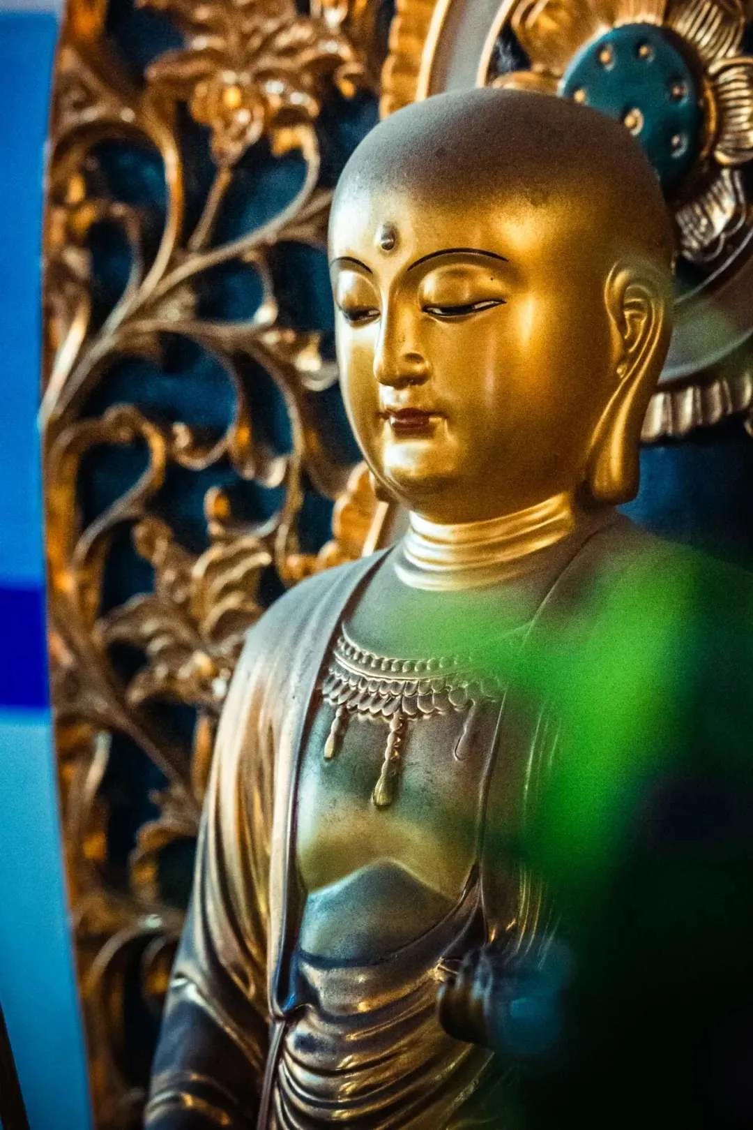 Ӧ�۷����ԣ�һ��Ψ����