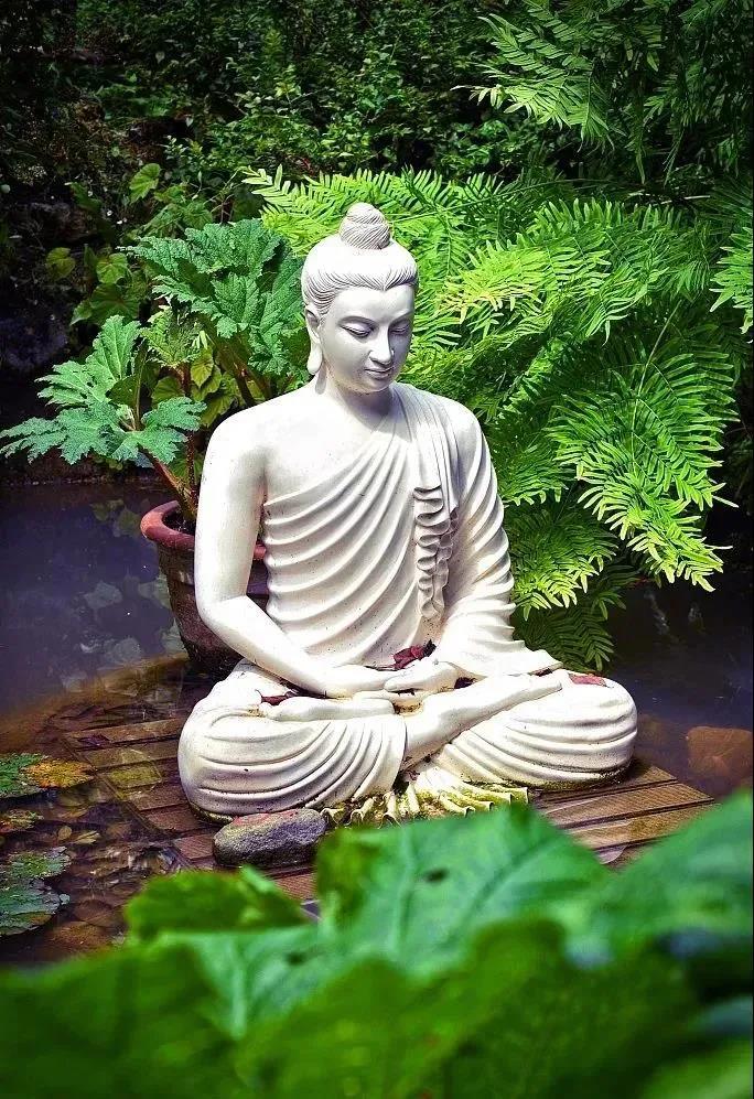 Ӧ�۷����ԣ�һ��Ψ����