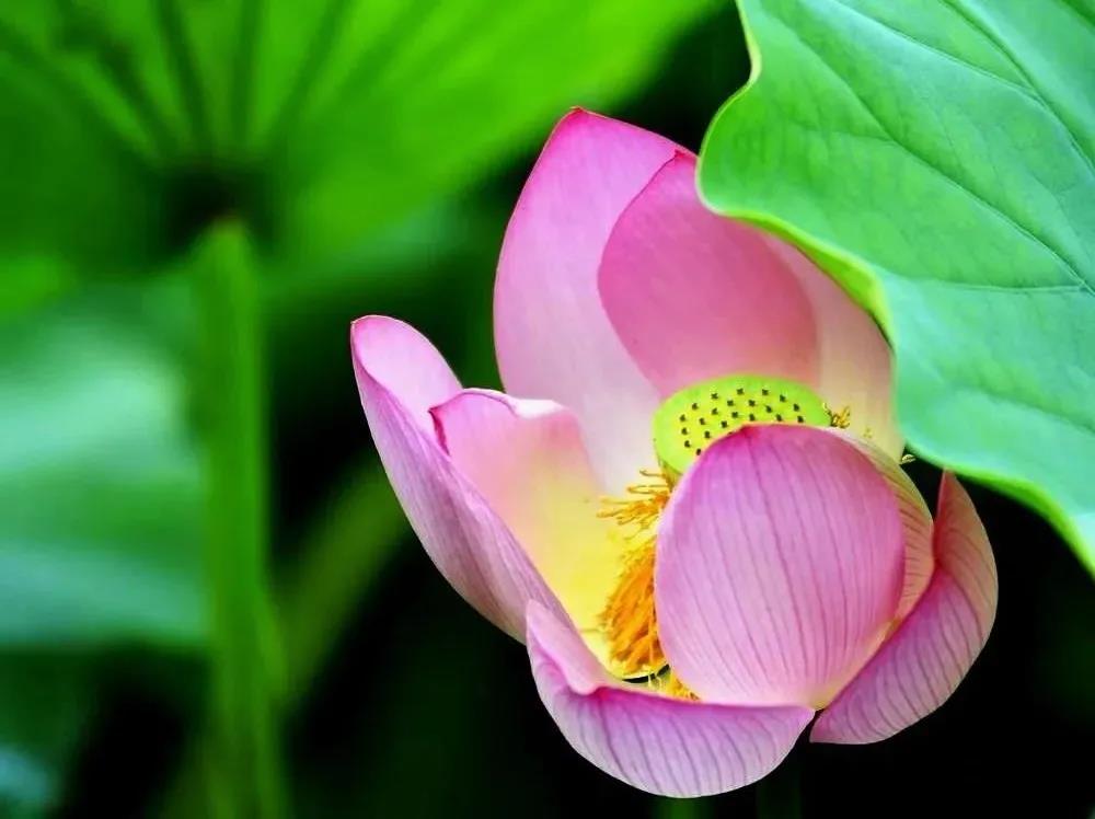 �����ֻ����һ�����Ԥ֪ʱ��