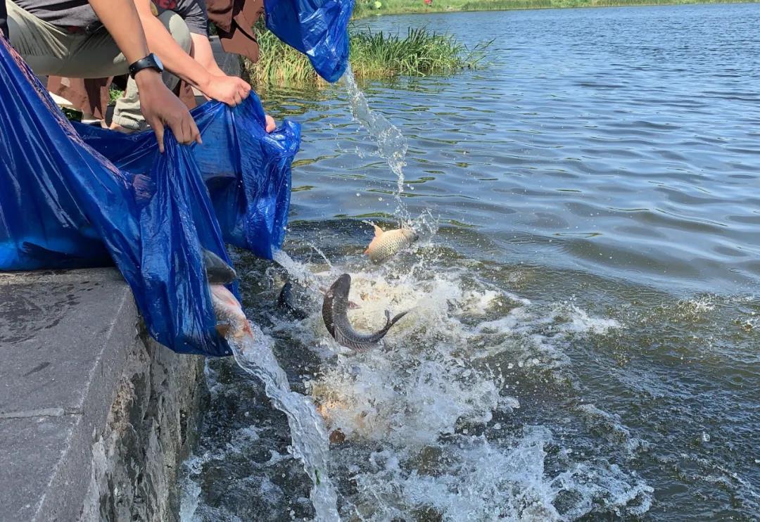 �����ᱻץ�Ͳ��������