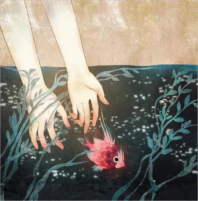 �����ᱻץ�Ͳ��������