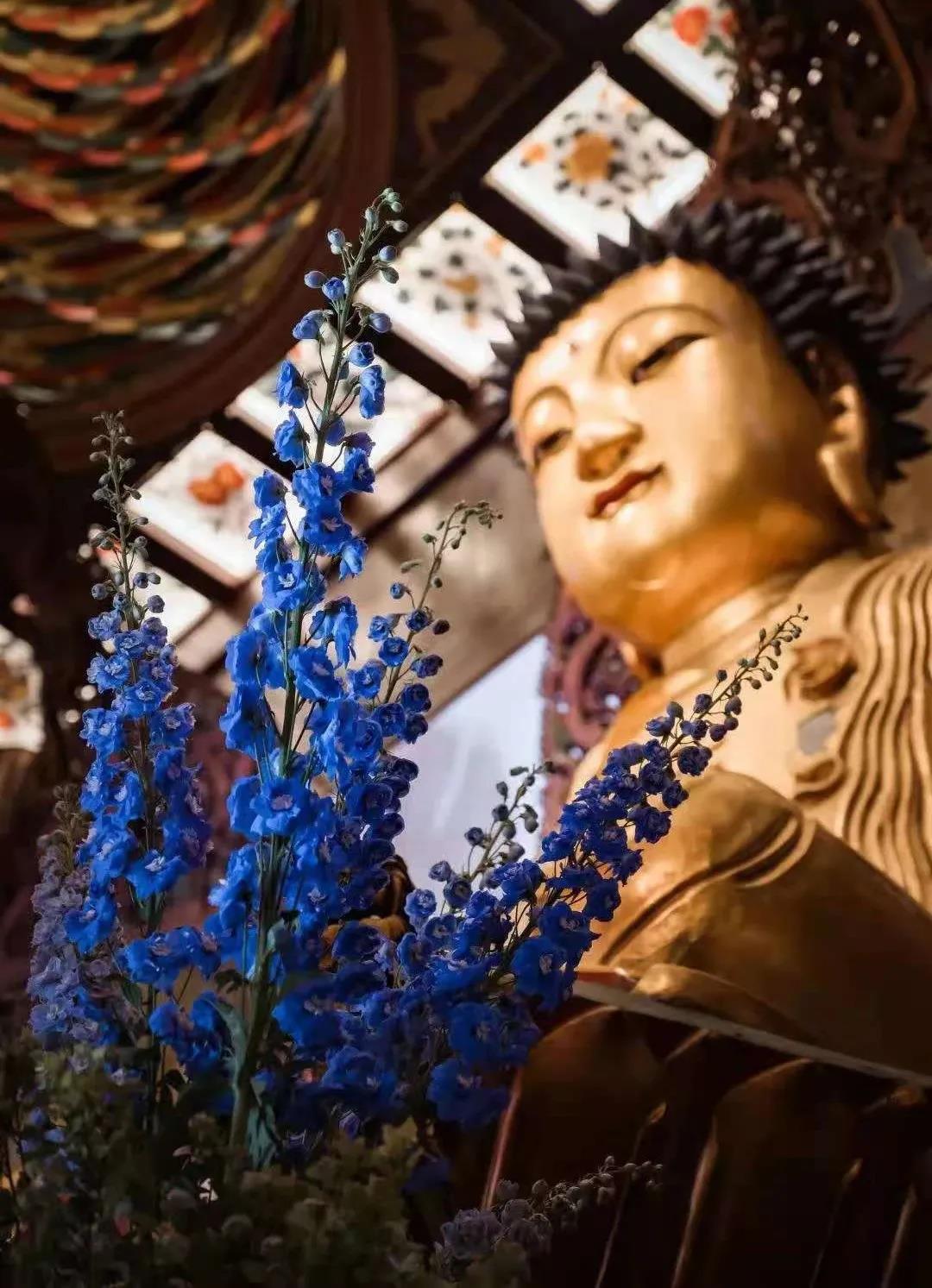 空并不是什么都没有,反而是样样都有 空并不是什么都没有,反而是样样都有