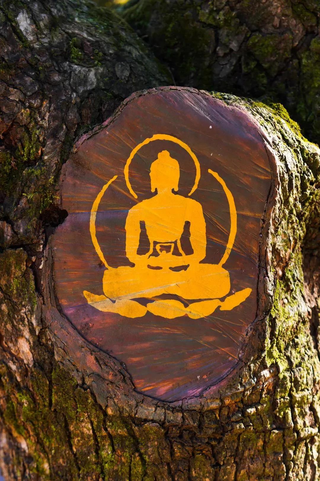 ���ϼ�������������Է�������