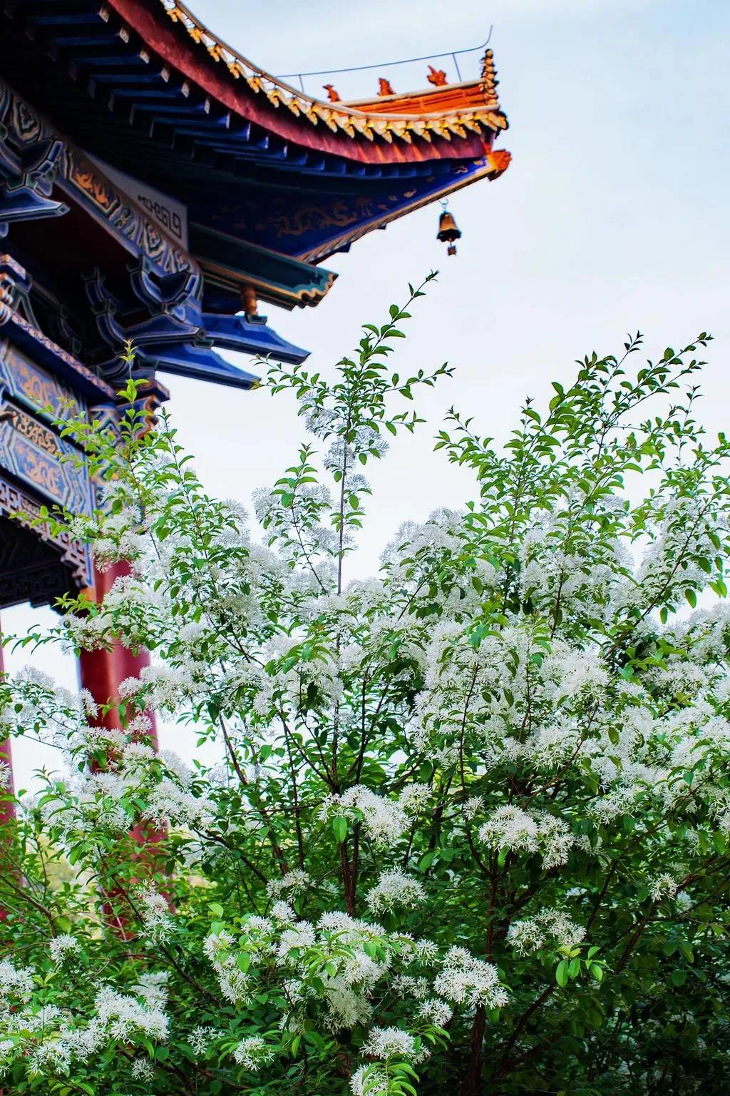 ���ϼ�������������Է�������