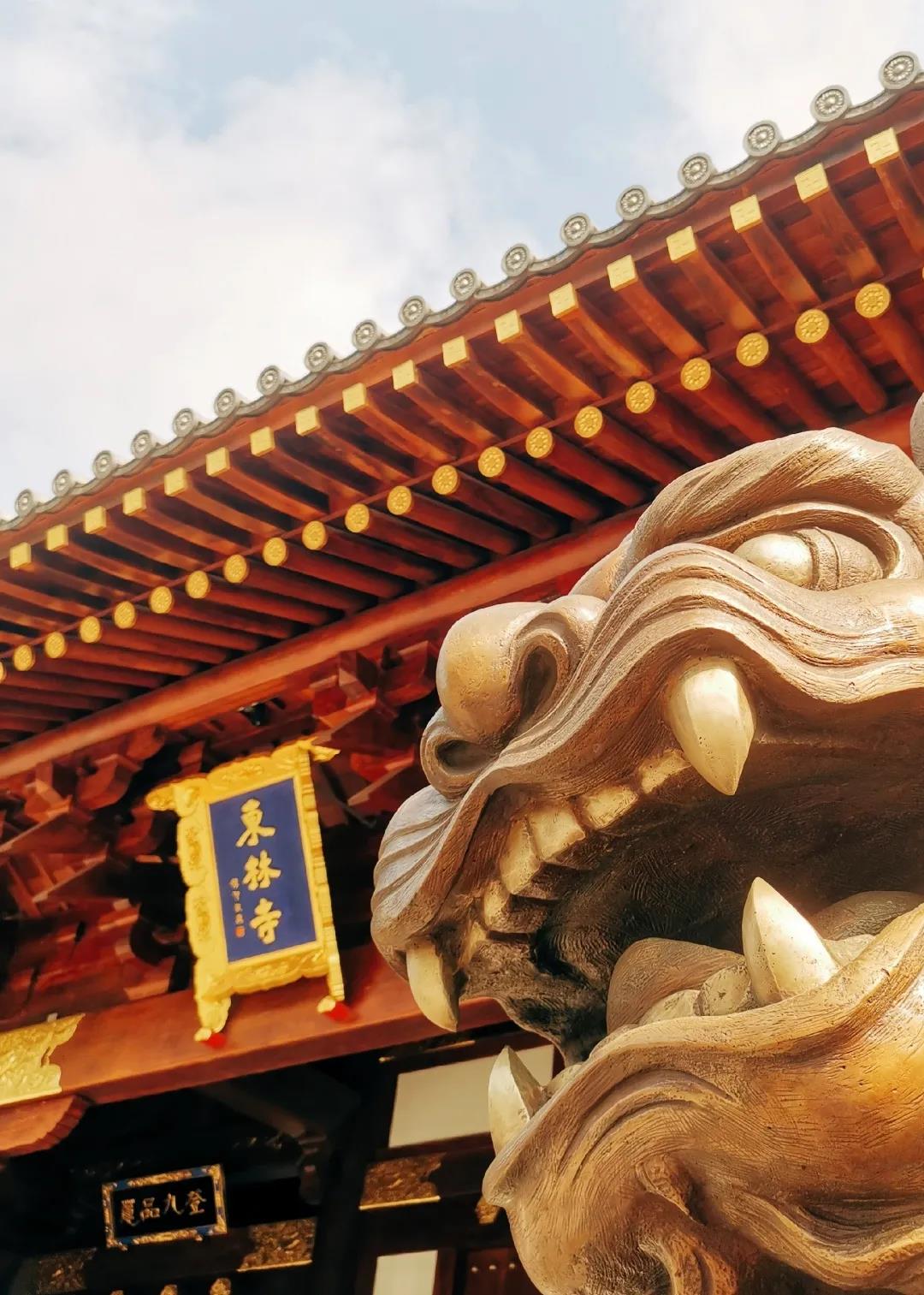 ֻ������������������Ҫ