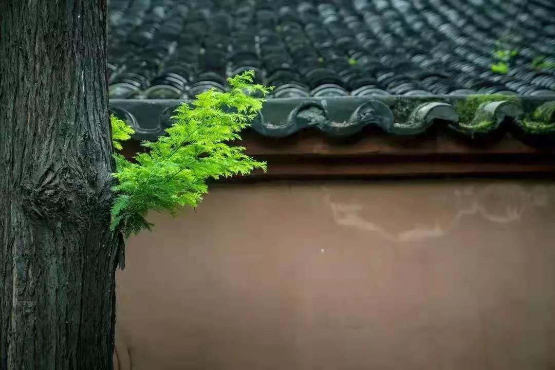 Ϊʲô������Т˳�ĺ��ӣ��Ϻ���˵Ӧ���������