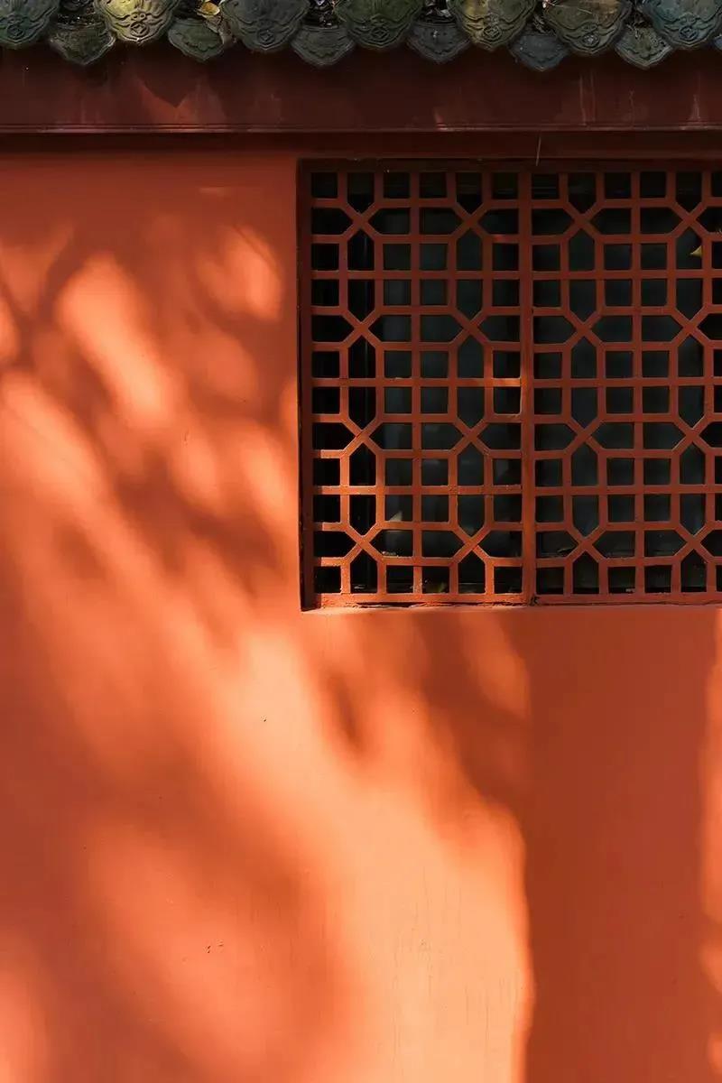 ���������ԭ��