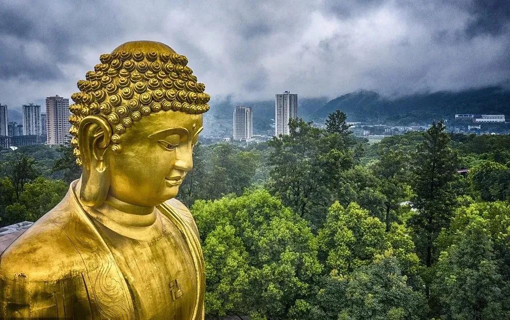 �������������̷�����������Ը