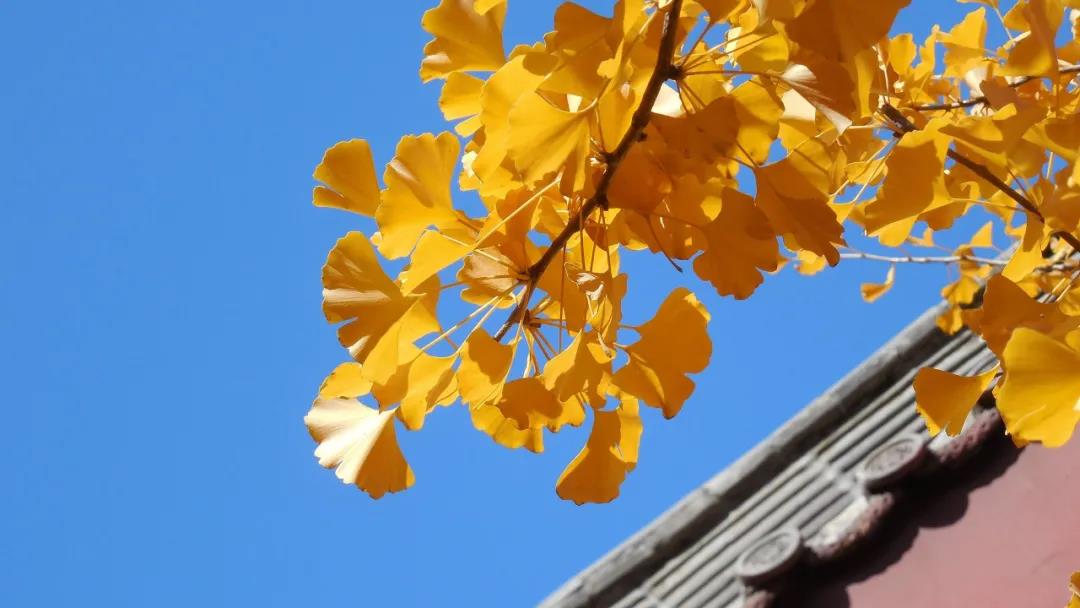 忏悔以后,罪过就此一笔勾销了吗? 忏悔以后,罪过就此一笔勾销了吗?