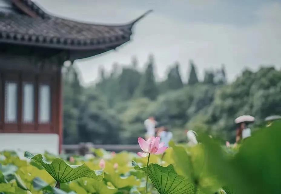 ���֮�˵ġ������ʡ�