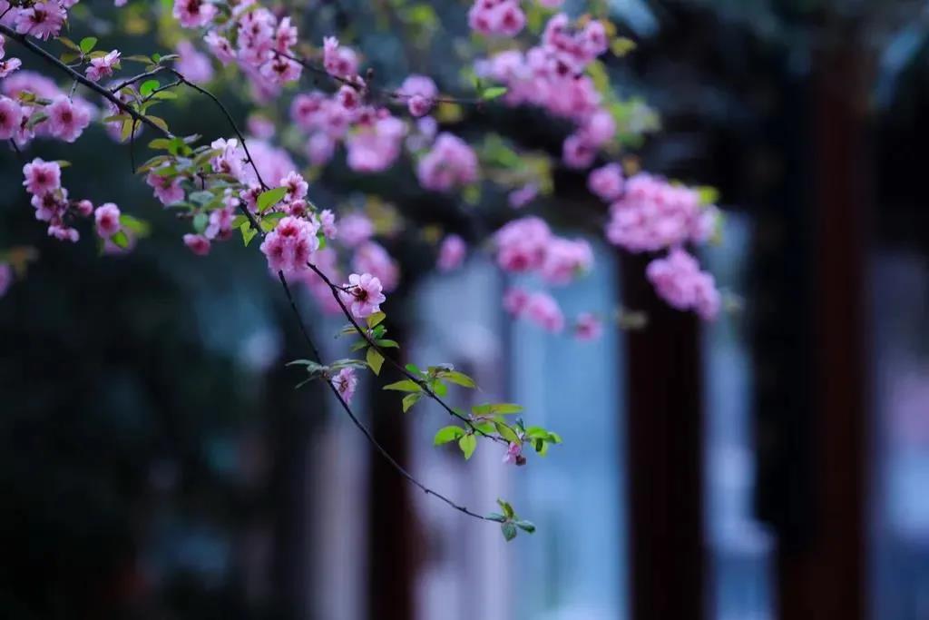 �᲻�á��Ų��£������п������Ը�������أ�