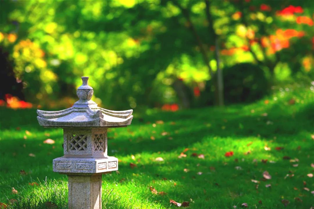 �ù������������ף������е�����û����������