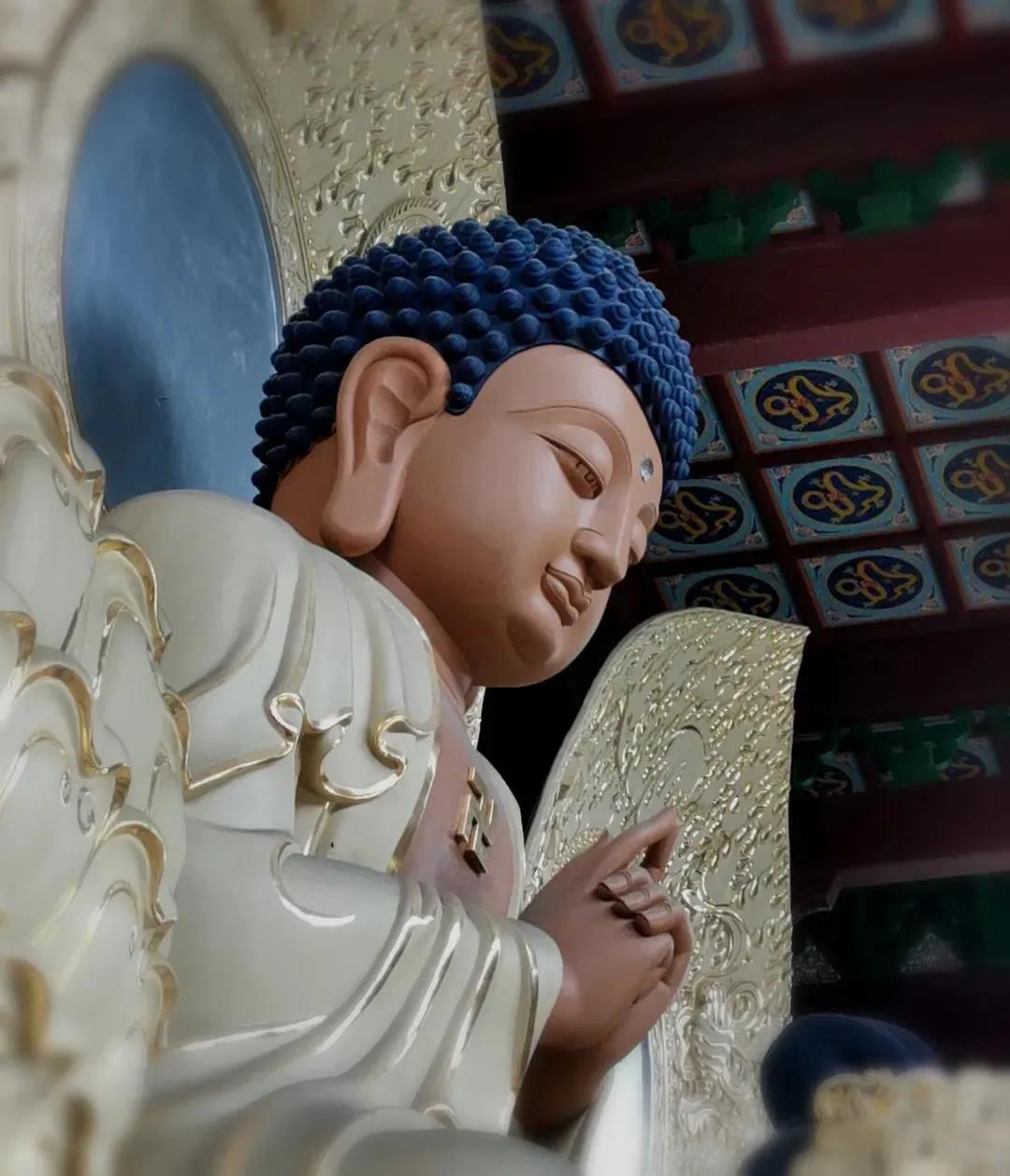 “人生是苦”的真实义 “人生是苦”的真实义