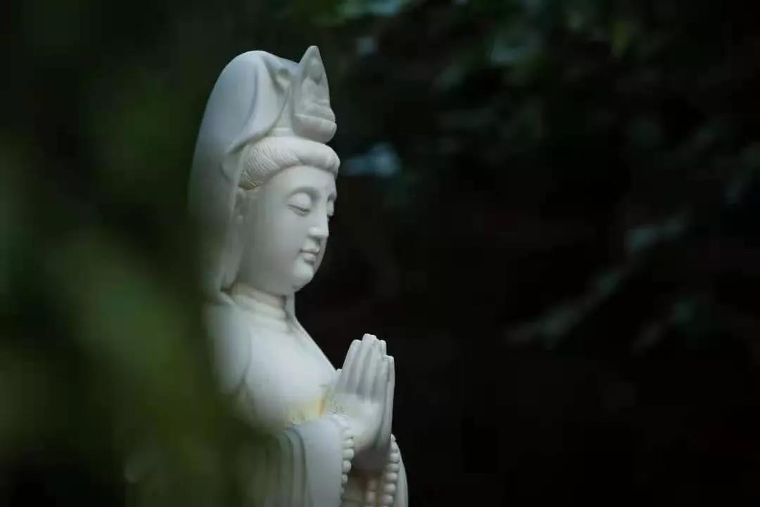 Ϊʲô������Т˳�ĺ��ӣ�