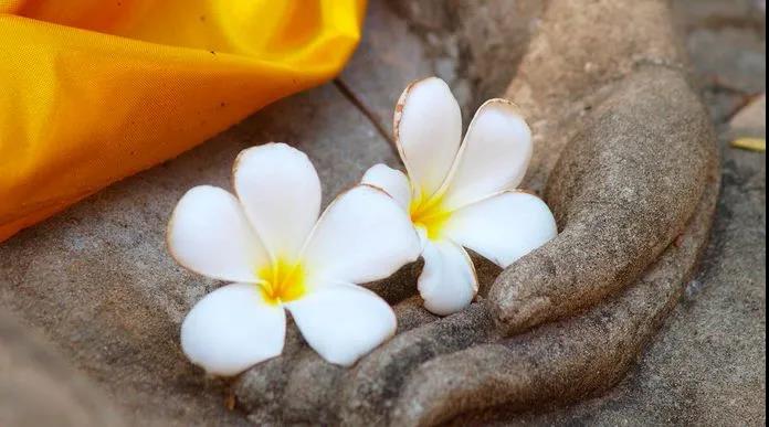 ����ʵ�����仰���к���ĺ���