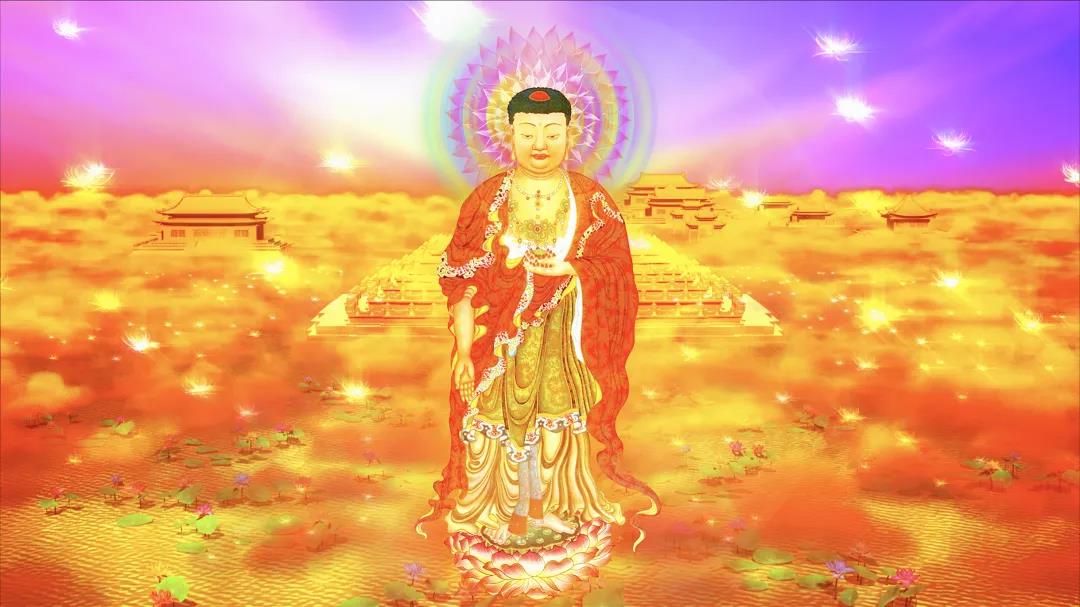 ��������������Ҫ������