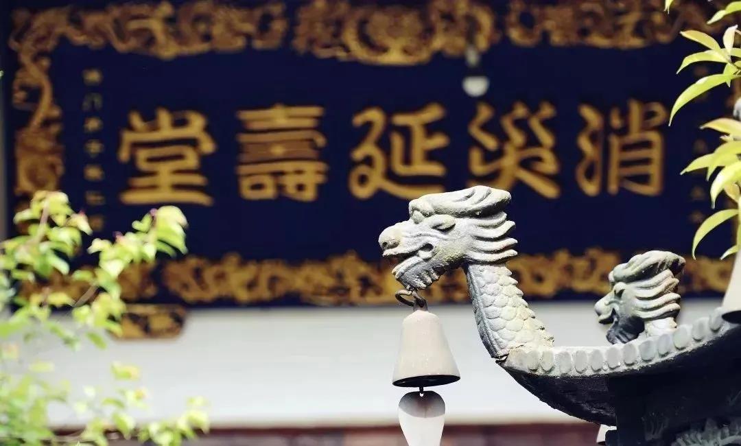 烦恼多业障重?它能拔除一切业障 烦恼多业障重?它能拔除一切业障