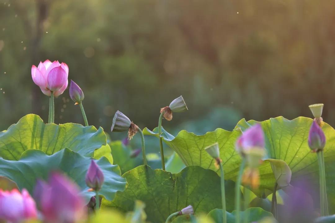 ����������������Ҳ���Ὺ��