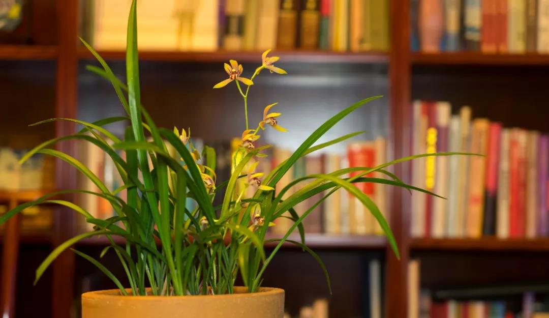 ����������������Ҳ���Ὺ��