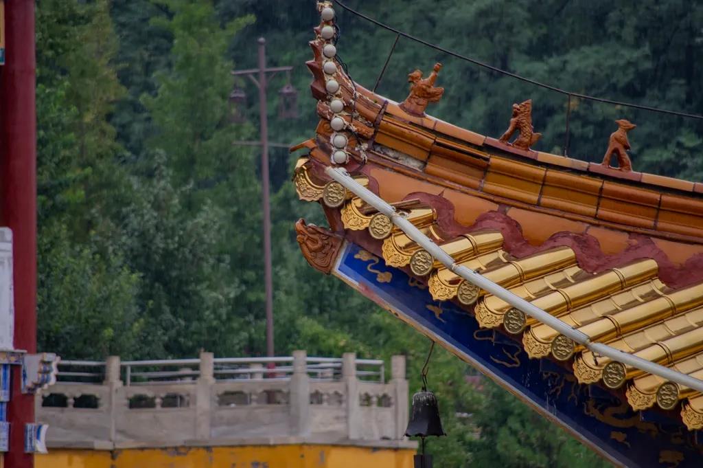 ���У���Ȼ��Ҫ�����ģ���Ϊ��Ҫ��