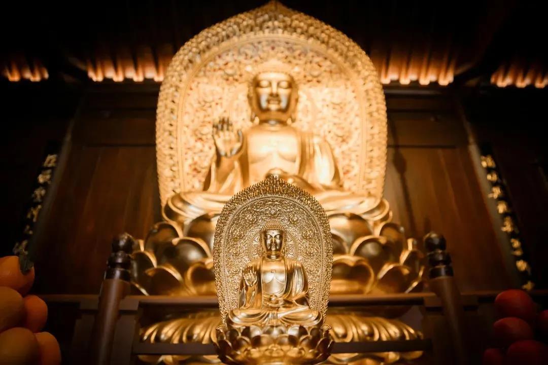 ��һ���ţ����Ǹ��ڰ�����Ͷ��һ���⣡