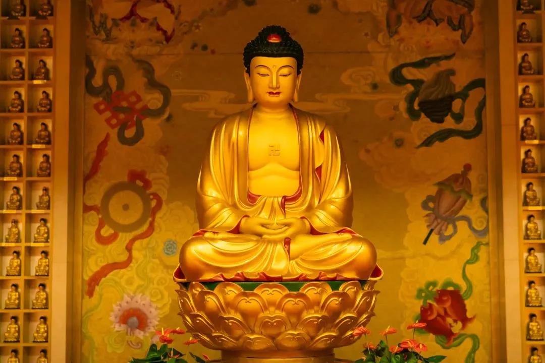 ��һ���ţ����Ǹ��ڰ�����Ͷ��һ���⣡