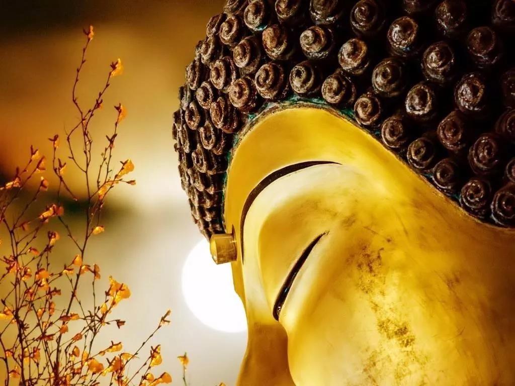 佛言人有二十难,你占了几个? 佛言人有二十难,你占了几个?