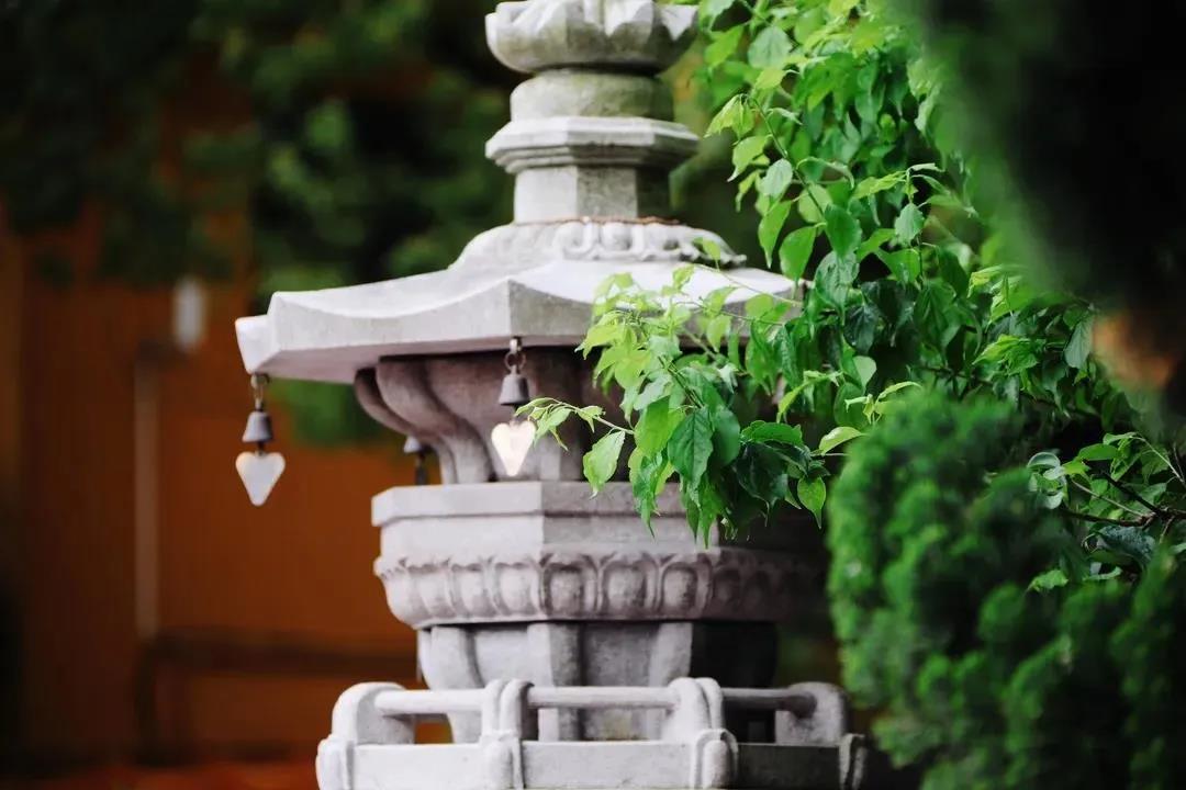 我们放不下的六种根本烦恼 我们放不下的六种根本烦恼