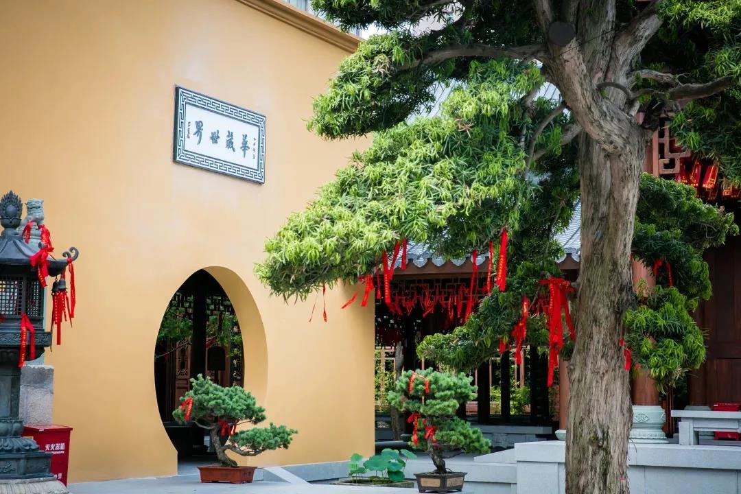 九句话告诉你什么是佛缘,看看你有吗? 九句话告诉你什么是佛缘,看看你有吗?