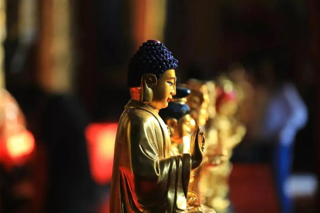 Ϊ��ʲô�������ã���Ϊ8�ֹ�ʧ��ס���ǻ�