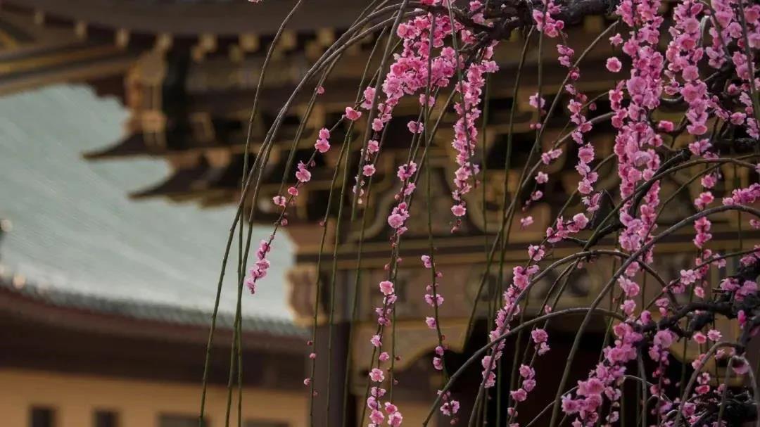 ���������������