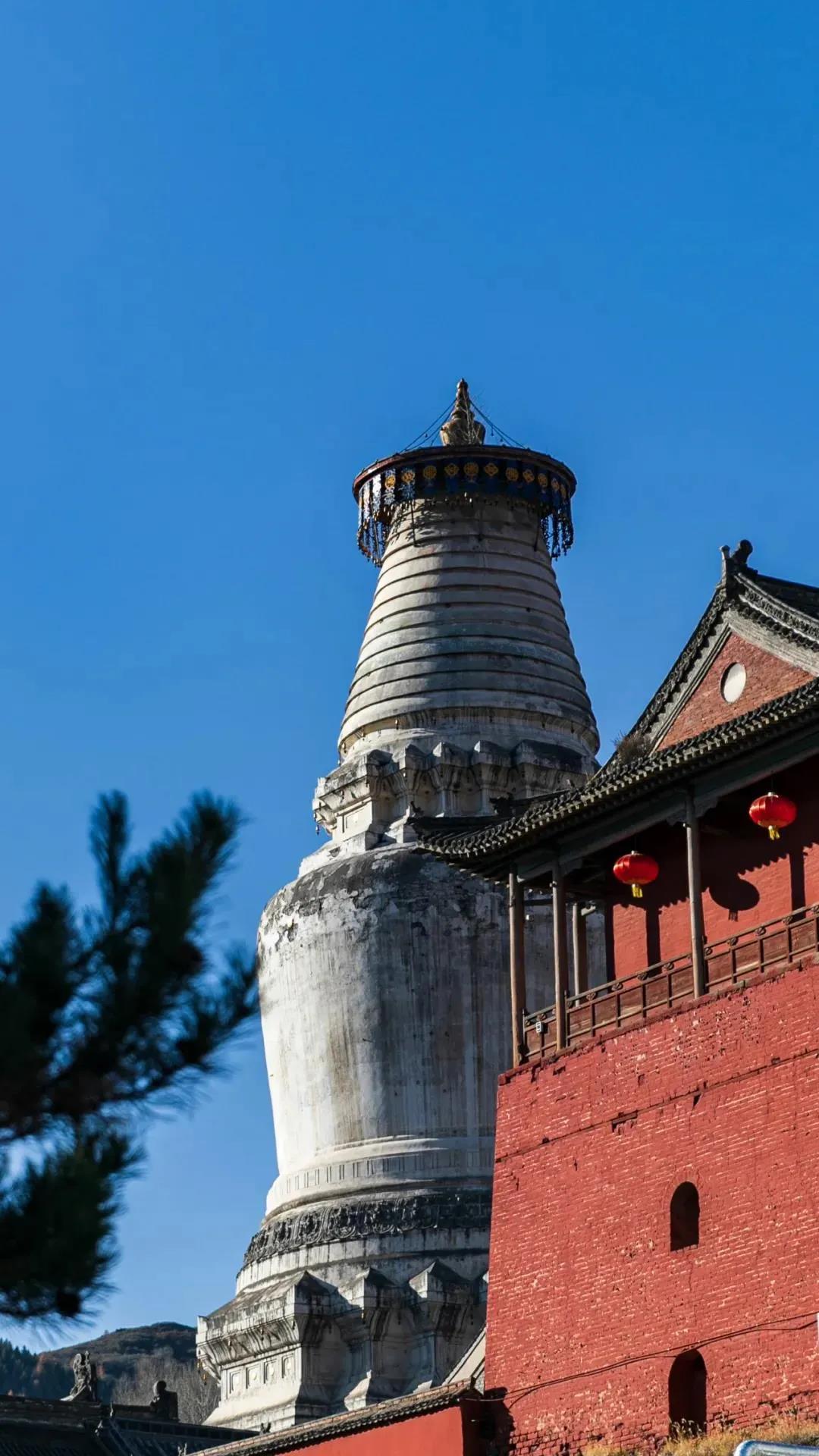 ���ѧ����Ϊ���������ǽ���������ʲô�ã�