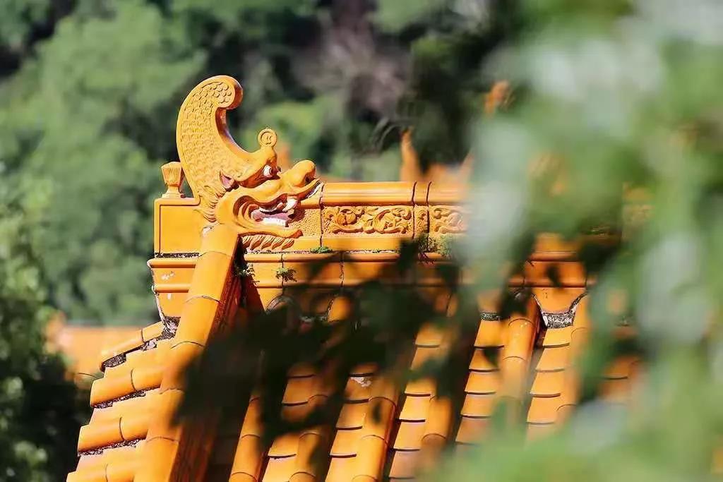 学佛的简明标准,看看你符合吗? 学佛的简明标准,看看你符合吗?