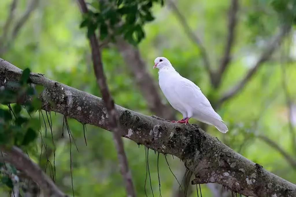 ������Ƕ���Щ����������˵������