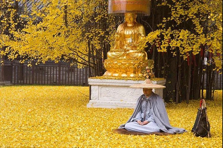 发善心一定有好报?不一定! 发善心一定有好报?不一定!