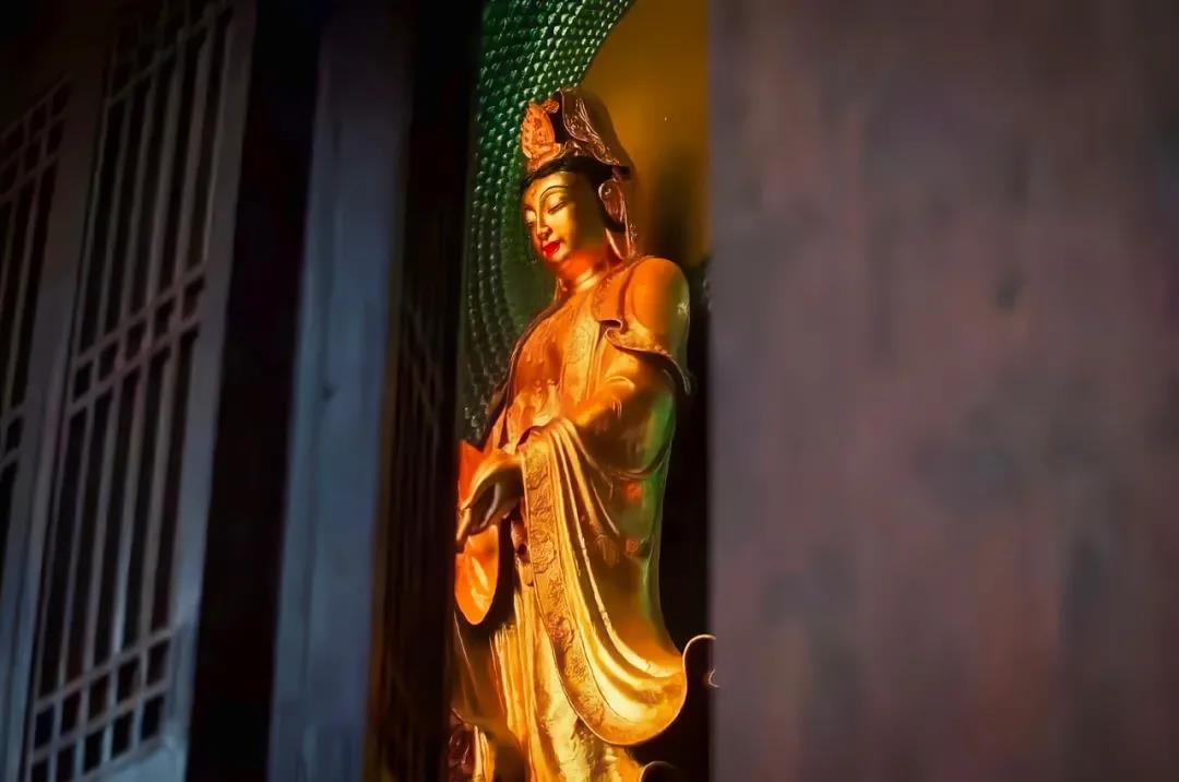 ���㣡�徻�ﹸ������ҵ��~