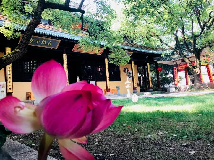 �������Ҫ�����ɡ����Ĺ�