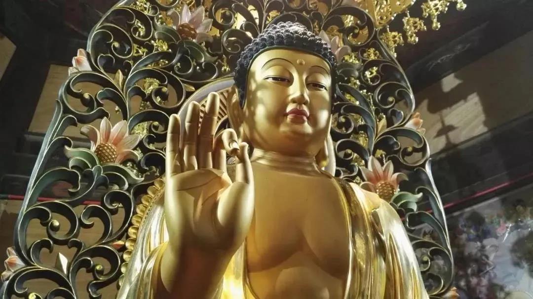 ѧ��ѧʲô������������