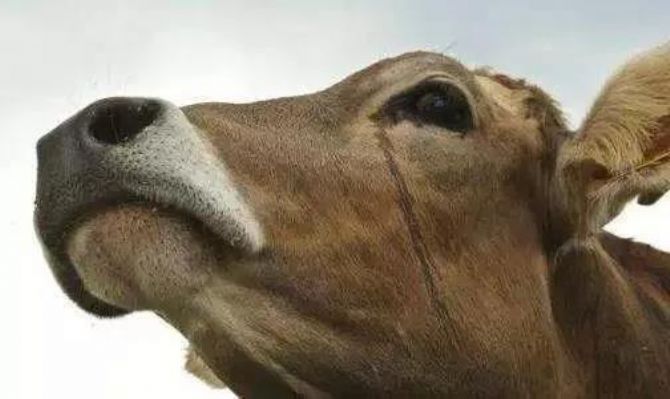 ���߲�ɱ���������������˲��ɲ�֪��!