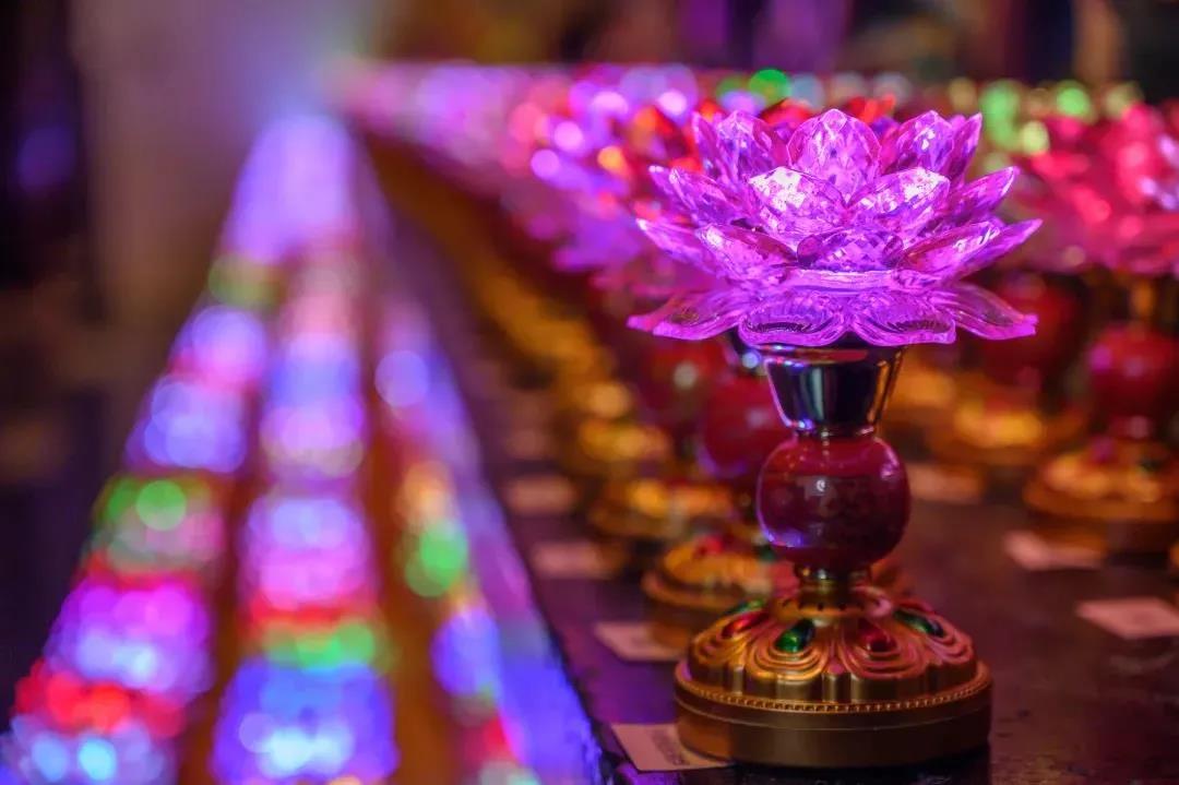 �������Ӿ�����˵�ġ�һ�Ĳ��ҡ�Ӧ����ν��ͣ�