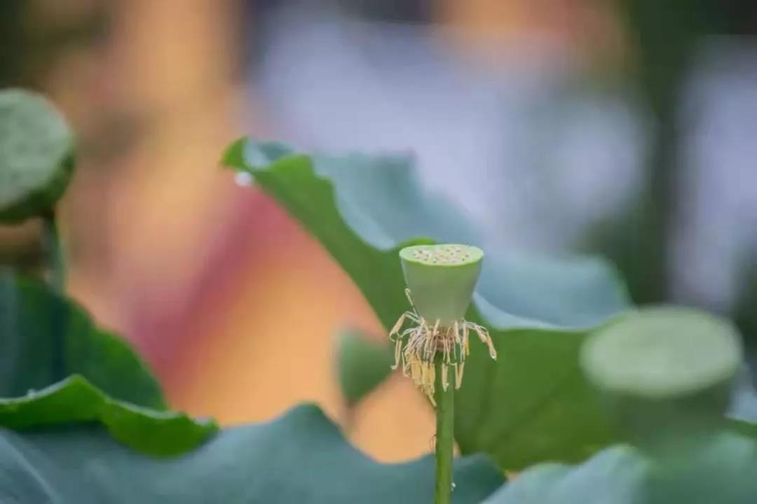 无我,是什么意思? 无我,是什么意思?