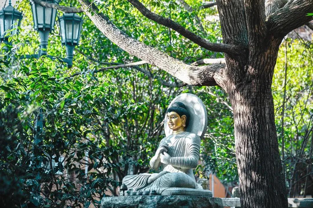 ����ѧ��Ų����ţ�