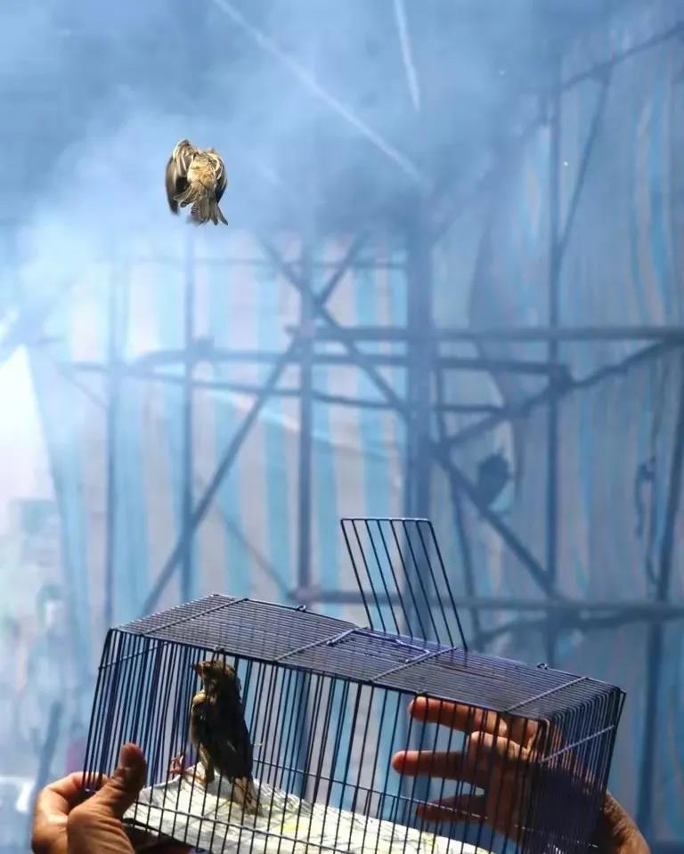 ���ڷ�������Щ���ʻ�����Ҳ��