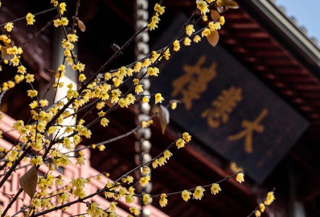 “认错”是处世最珍贵的宝物 “认错”是处世最珍贵的宝物