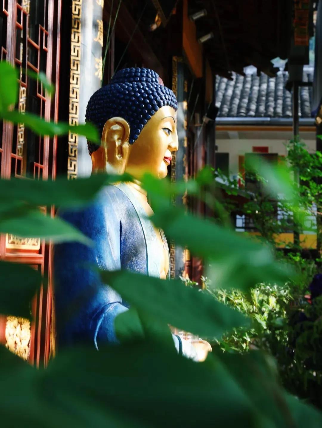 念佛须自量根性,勿唯图高胜 念佛须自量根性,勿唯图高胜