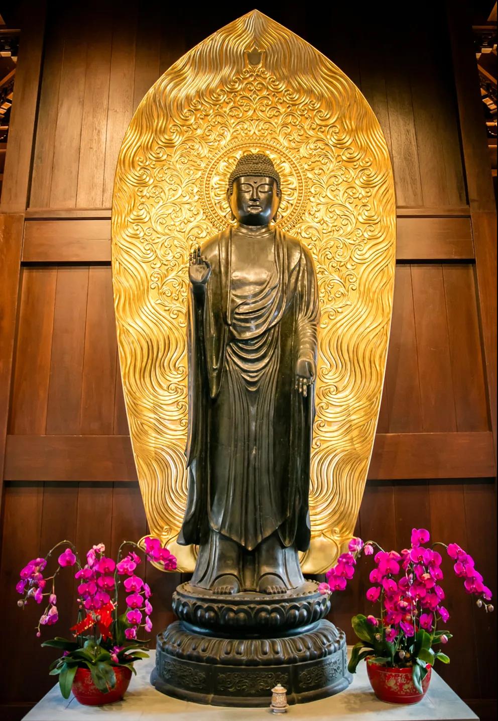 ǧ����������̫����˲�����