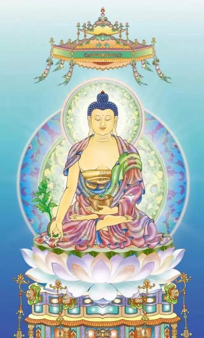 ��ҩʦ������������������