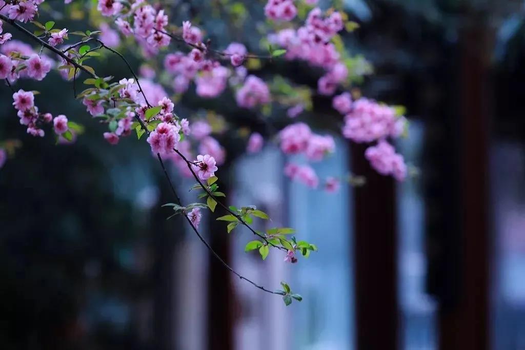 得与失_,你还在意吗? 得与失_,你还在意吗?